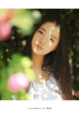 中文免费高清在线看电视剧