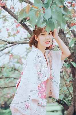 免费观看电视剧连续剧大全