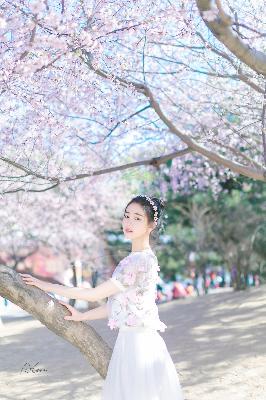 私人在线观看免费高清电视剧