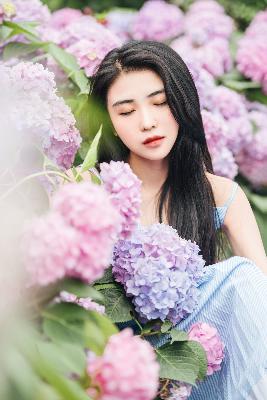 私人在线观看免费高清电视剧