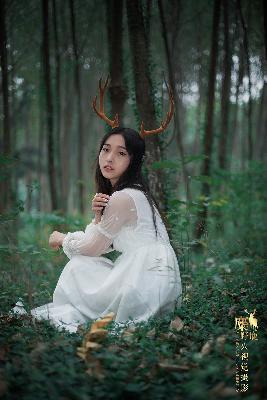 知否知否应是绿肥红瘦电视剧全集免费