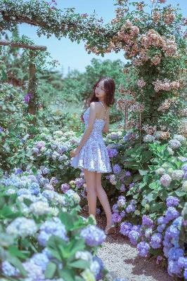 山河令电视剧全集在线观看完整版