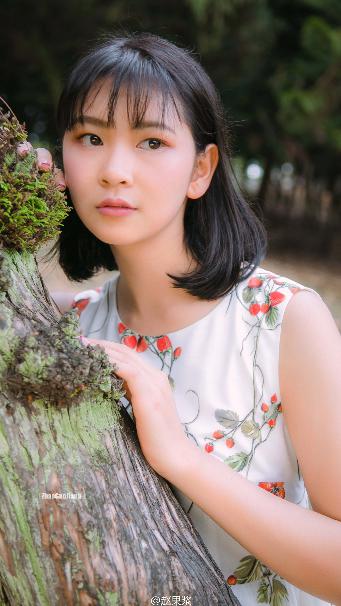 入青云电视剧免费观看全集完整版