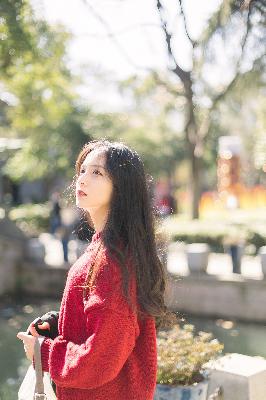 城中之城电视剧免费观看全集