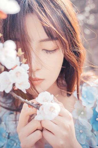 樱花动漫网官方入门网站