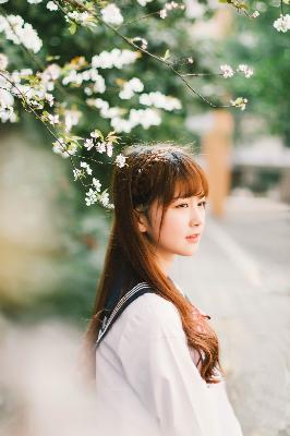 知否知否应是绿肥红瘦全集