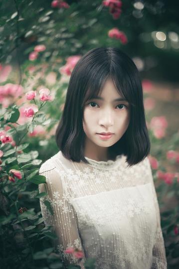 成品游戏网站入口免费游戏大全