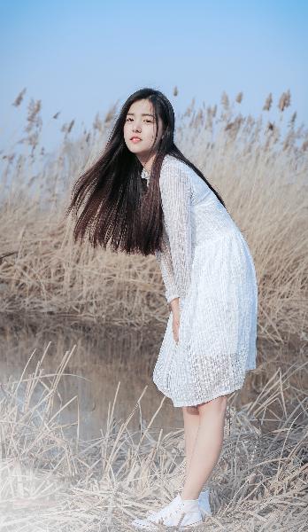 如懿传在线看全集免费观看高清