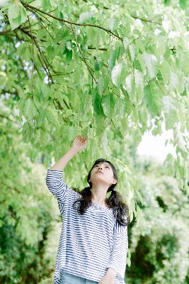 日本免费观看高清电影熊出没伴我心