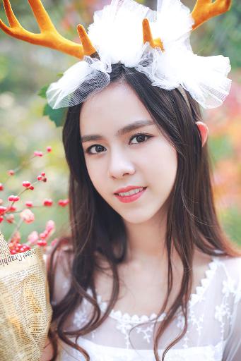 树影迷宫电视剧免费播放