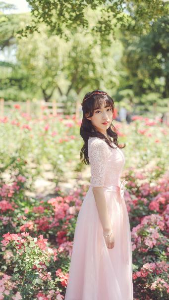 好看的电影在线观看免费全集