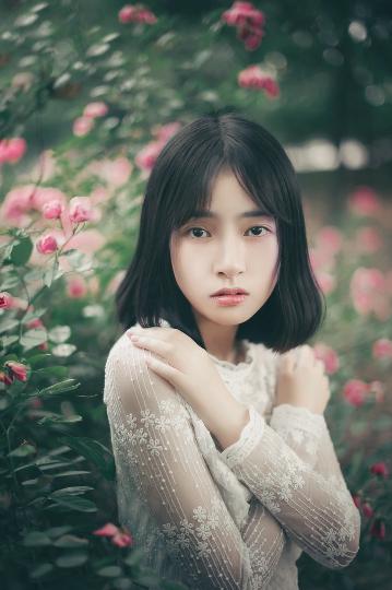 完美世界动漫在线观看全集免费播放