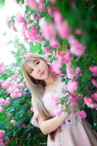 征服电视剧免费观看全集