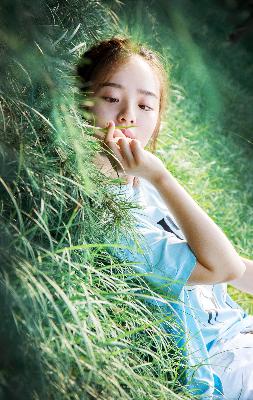 国产免费观看高清电视剧大全