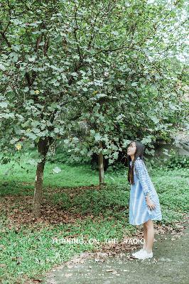一起来看流星雨
