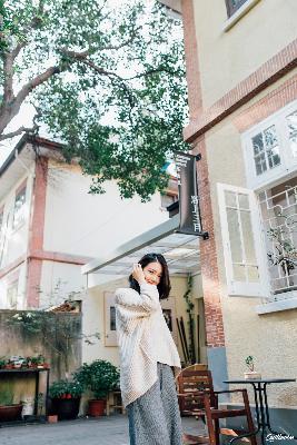 杨思敏版金瓶梅