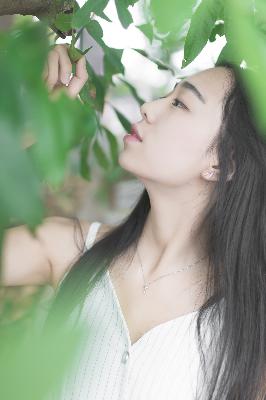 骄阳似我电视剧免费观看完整版