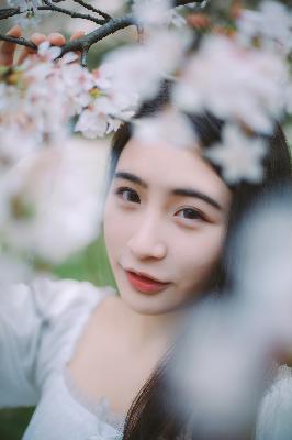 他是谁电视剧免费观看完整版