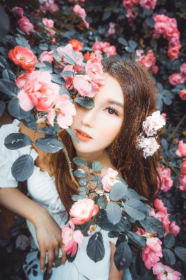 成全在线观看免费观看全集