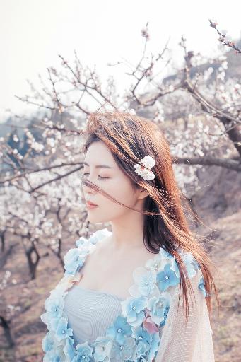 献鱼电视剧免费观看完整版