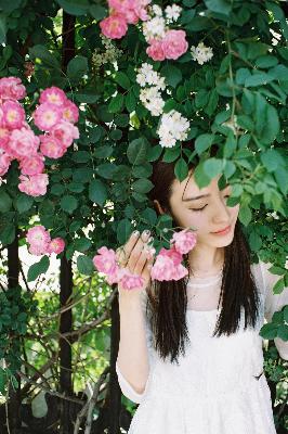 亮剑电视剧免费观看完整版