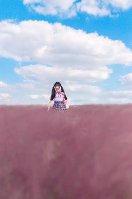 捕风追影电影完整版免费观看高清