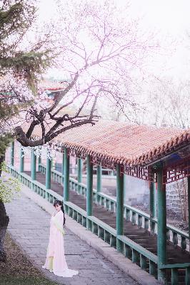 甄嬛传电视剧全集完整版