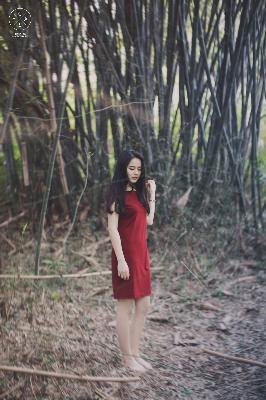 斗破苍穹年番在线观看完整版免费