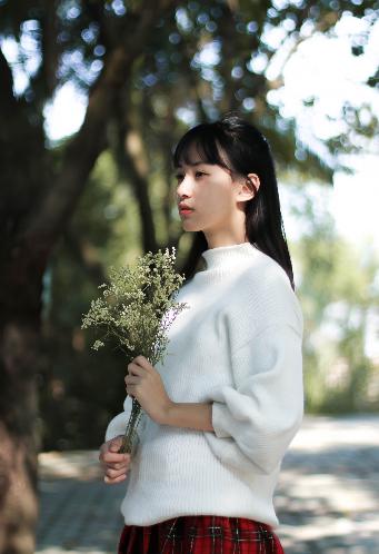 嫡女母狗骑木马苏婉是哪部小说