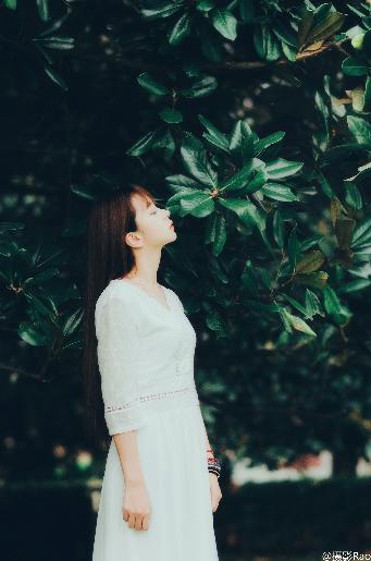 新奥天天彩最精准大全