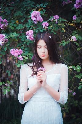 八戒八戒免费观看高清电视剧