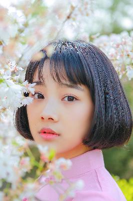 成品免费PPt网站入口