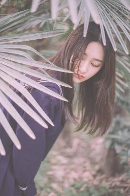 茶杯狐官方版官网