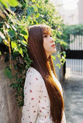 捕风追影电影完整版免费观看高清