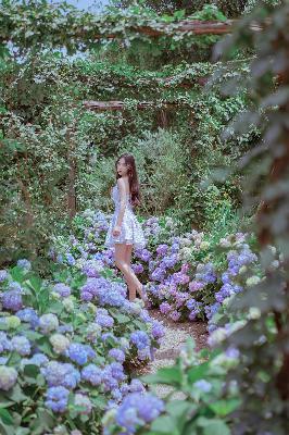 回复术士之重启人生在线观看免费完整版飘雪