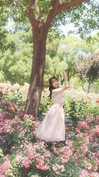 仙逆动漫在线播放完整版高清