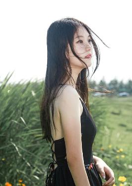 八戒八戒免费观看高清电视剧