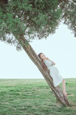 美女免费高清版电视剧在线播放