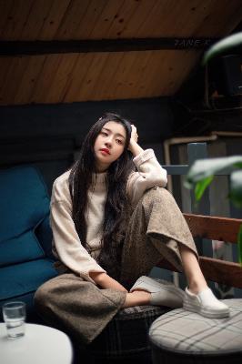 巡回检察组免费观看全集完整版