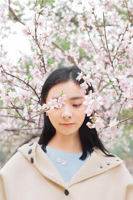 巡回检察组免费观看全集完整版