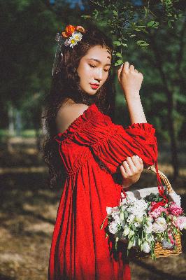 风流医生免费观看高清电视剧完整版