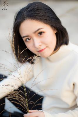 间谍过家家第三季