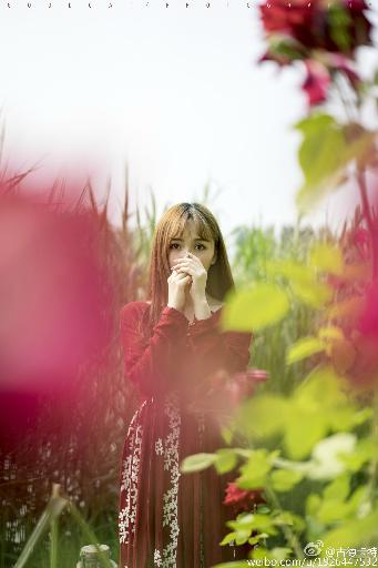 原来新神马电影手机版