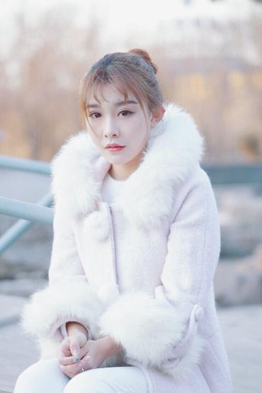 书卷一梦电视剧免费观看完整版