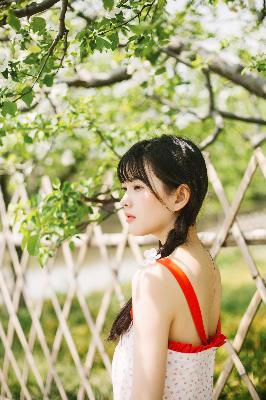 荣华令电视剧免费观看全部播放