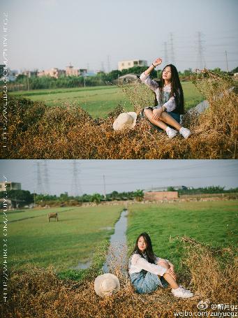 猫女的诅咒在线观看