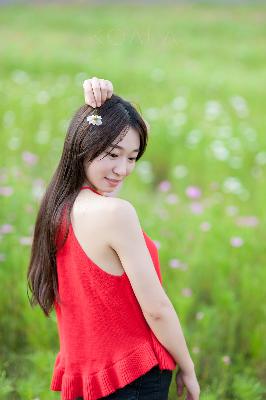 美女在线观看免费版电视剧全集